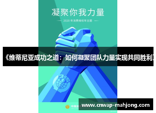 《维蒂尼亚成功之道:如何凝聚团队力量实现共同胜利》 《维蒂尼亚成功之道:如何凝聚团队力量实现共同胜利》