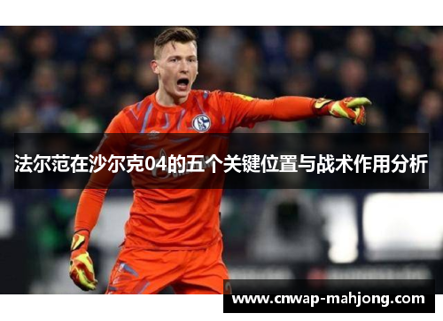 法尔范在沙尔克04的五个关键位置与战术作用分析