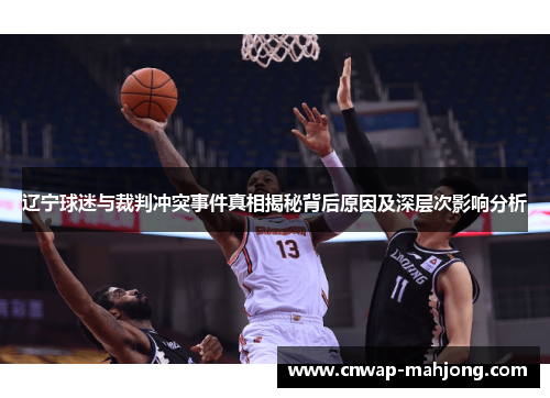 辽宁球迷与裁判冲突事件真相揭秘背后原因及深层次影响分析