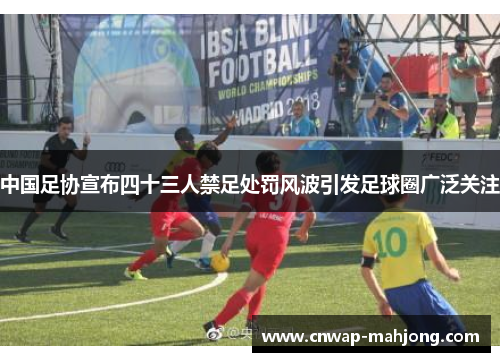 中国足协宣布四十三人禁足处罚风波引发足球圈广泛关注 中国足协宣布四十三人禁足处罚风波引发足球圈广泛关注
