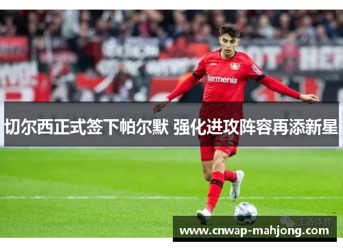 切尔西正式签下帕尔默 强化进攻阵容再添新星