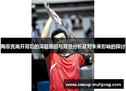 陶菲克离开背后的深层原因与背景分析及对未来影响的探讨