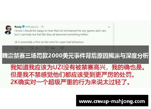 魏震禁赛三场罚款2000美元事件背后原因揭露与深度分析