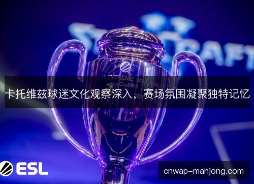 卡托维兹球迷文化观察深入,赛场氛围凝聚独特记忆 卡托维兹球迷文化观察深入,赛场氛围凝聚独特记忆